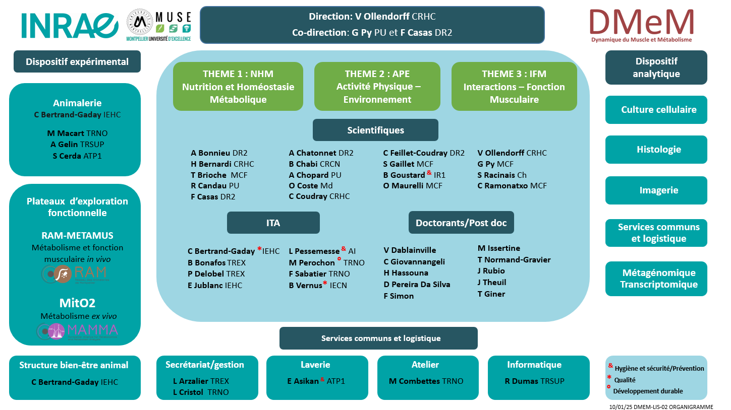 Organigramme2025Correct