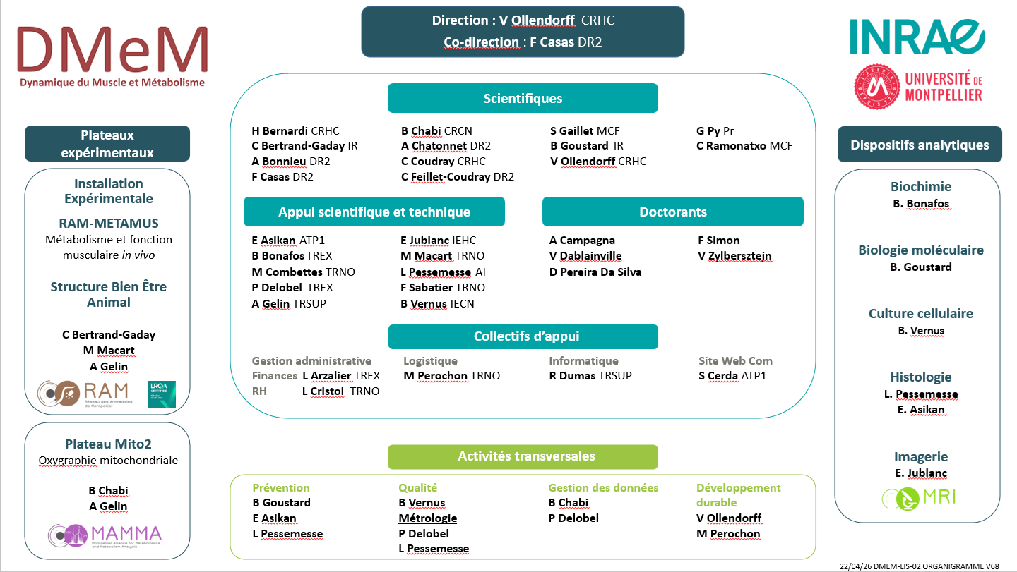 Organigramme2025Correct Organigramme2025Correct