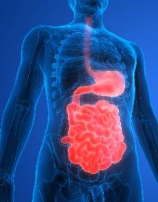 Microbiote