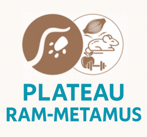 AcceuilMetamus2025b