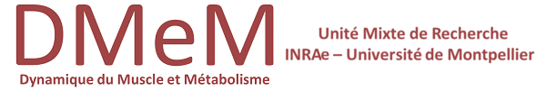 Logo DMEM